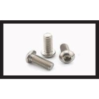 SS Button Head Cap Screws – Stainless Steel Domed Button Head Allen Screws for Aesthetic Fastening – A2/A4 Grade 304/316, Socket Drive, Passivated Finish, Metric Sizes for Panels and Furniture